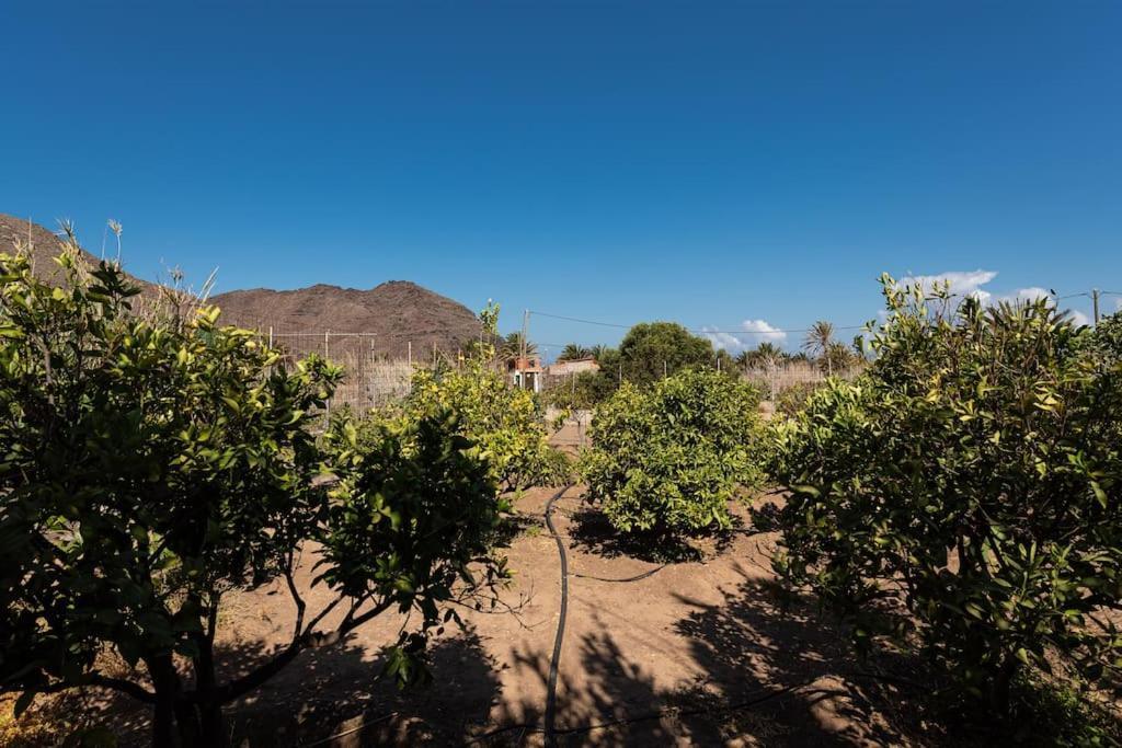 Vivienda Vacacional Ca' Pepita Y Jose El Albercon Εξωτερικό φωτογραφία