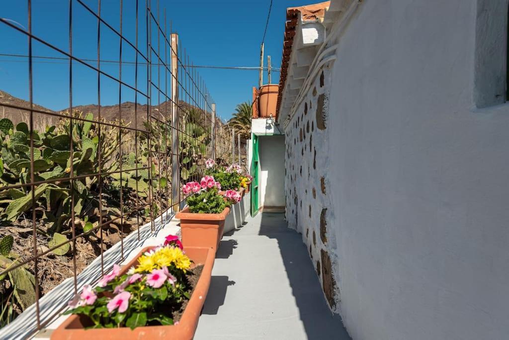 Vivienda Vacacional Ca' Pepita Y Jose El Albercon Εξωτερικό φωτογραφία