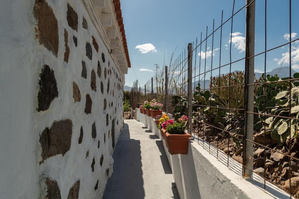 Vivienda Vacacional Ca' Pepita Y Jose El Albercon Εξωτερικό φωτογραφία